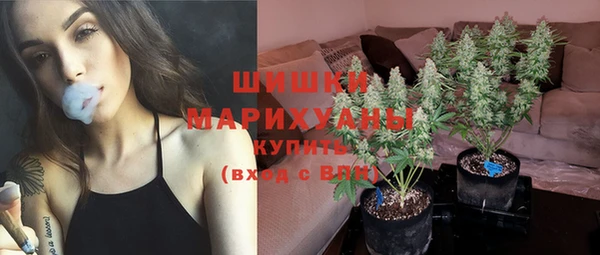 первитин Краснослободск