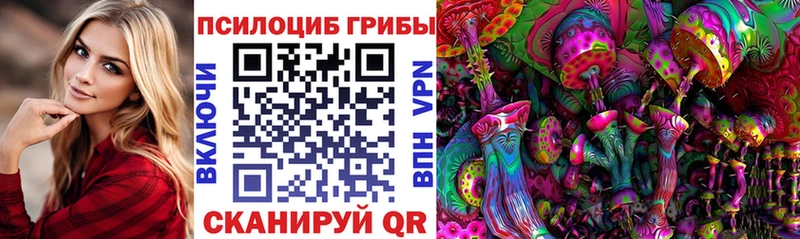Псилоцибиновые грибы Psilocybine cubensis  Купить  Аткарск 