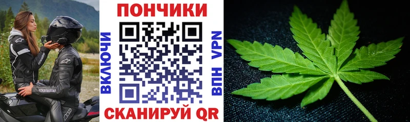 Купить где  Аткарск  Бошки Шишки гибрид 